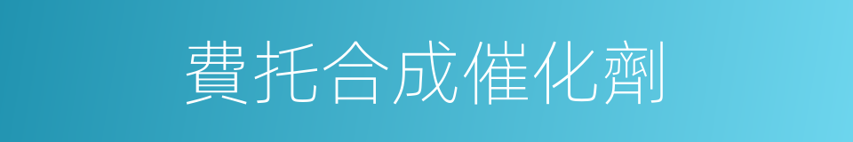 費托合成催化劑的同義詞