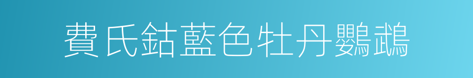 費氏鈷藍色牡丹鸚鵡的同義詞