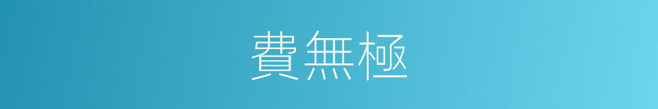 費無極的同義詞