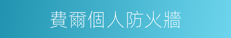 費爾個人防火牆的同義詞