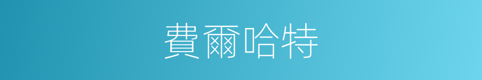 費爾哈特的同義詞