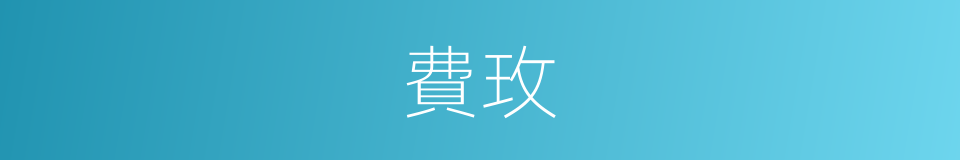 費玫的同義詞