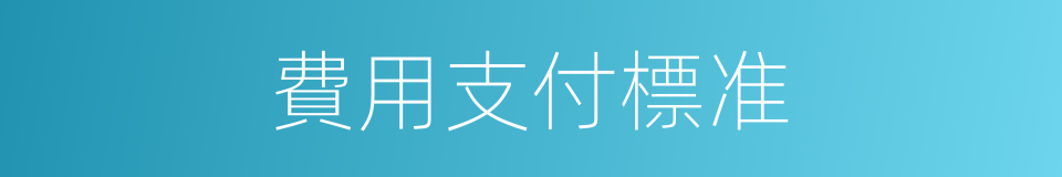 費用支付標准的同義詞