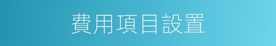 費用項目設置的同義詞