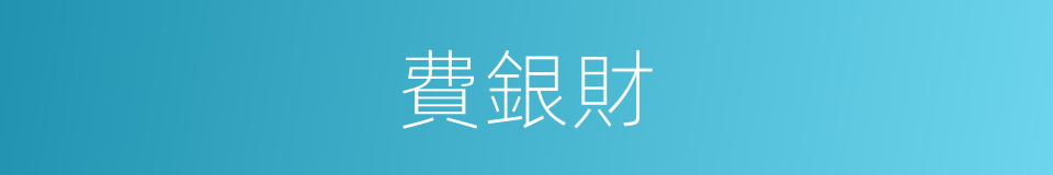 費銀財的同義詞