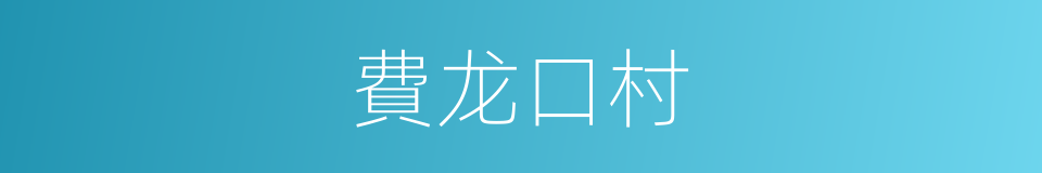費龙口村的同義詞