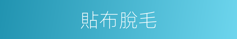 貼布脫毛的同義詞