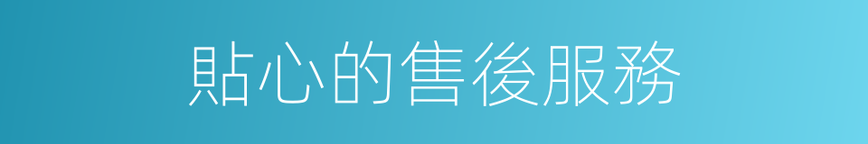 貼心的售後服務的同義詞