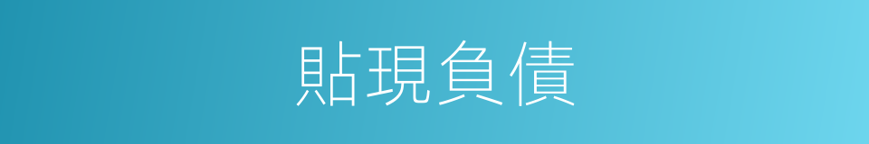 貼現負債的同義詞