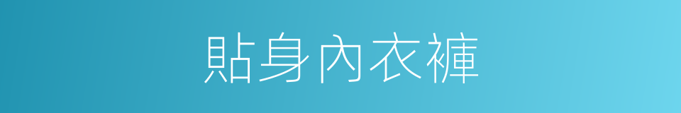 貼身內衣褲的同義詞