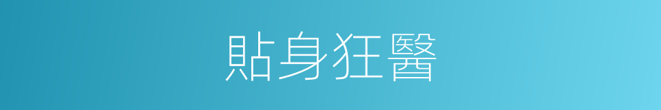 貼身狂醫的同義詞