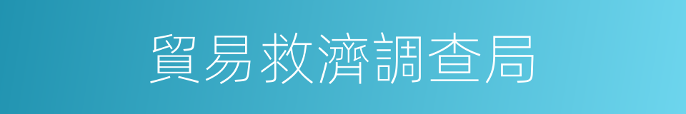 貿易救濟調查局的同義詞