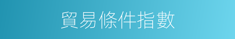 貿易條件指數的同義詞