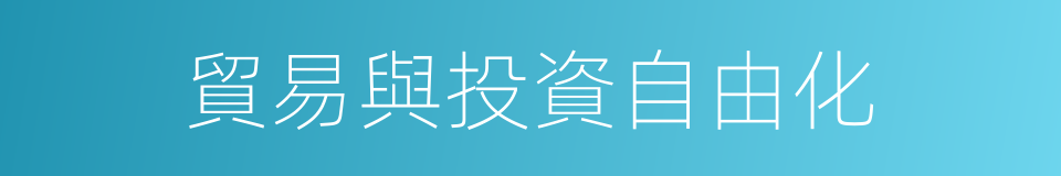 貿易與投資自由化的同義詞
