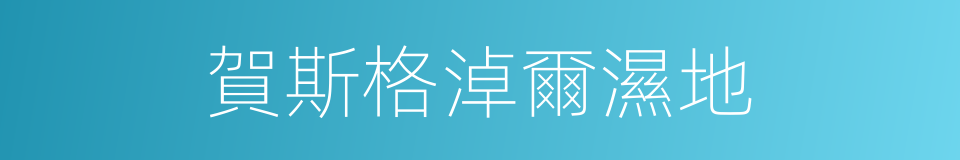 賀斯格淖爾濕地的同義詞