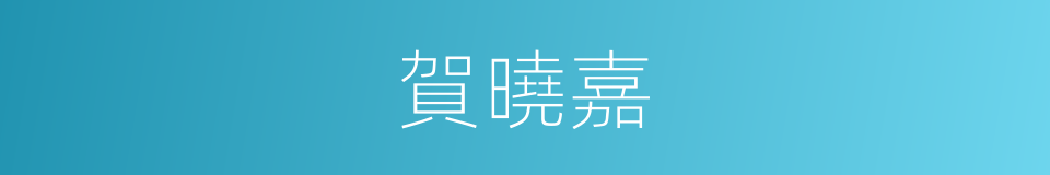 賀曉嘉的同義詞