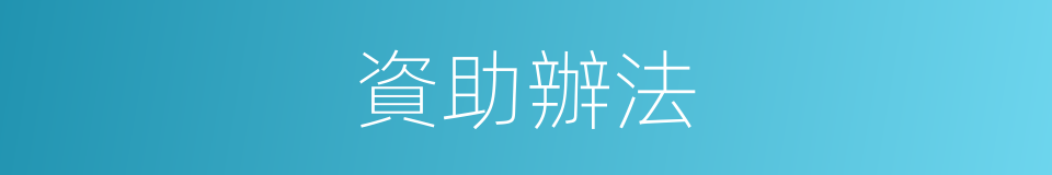 資助辦法的同義詞