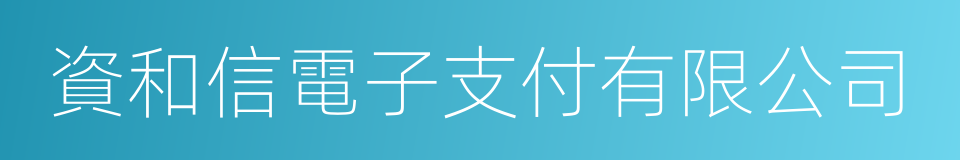 資和信電子支付有限公司的同義詞