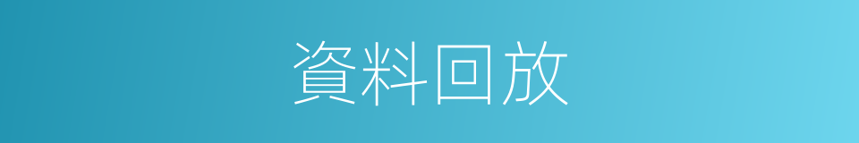 資料回放的同義詞