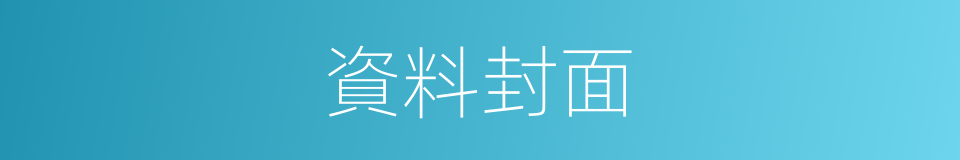 資料封面的同義詞