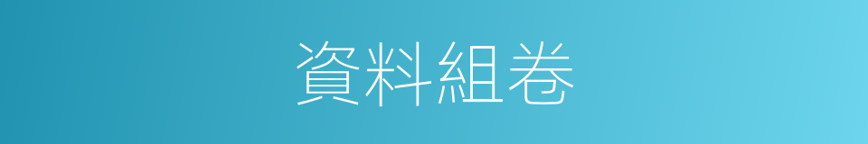 資料組卷的同義詞