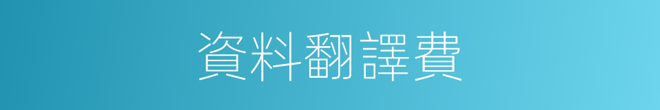 資料翻譯費的同義詞