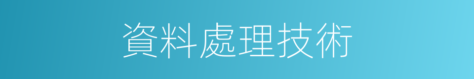 資料處理技術的同義詞