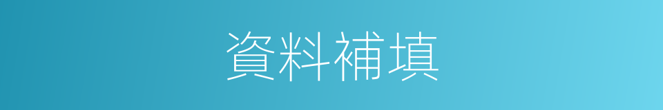 資料補填的同義詞