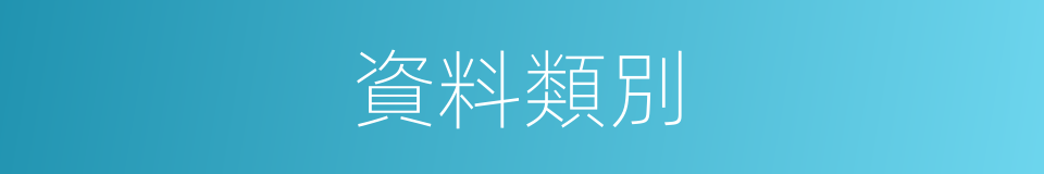 資料類別的同義詞