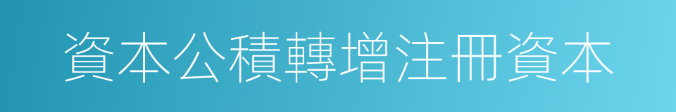 資本公積轉增注冊資本的同義詞