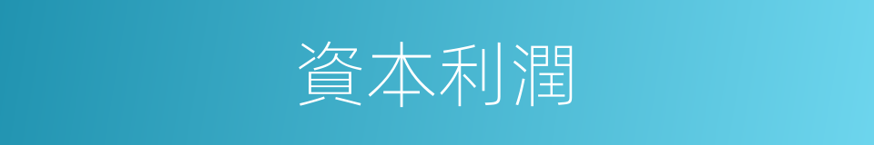資本利潤的同義詞