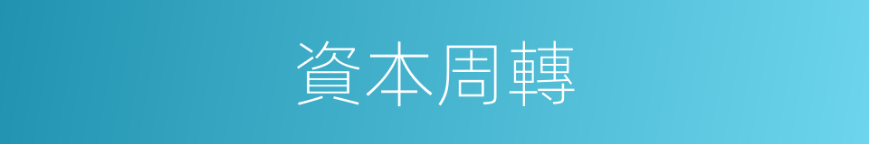 資本周轉的同義詞