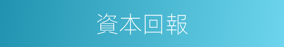 資本回報的同義詞
