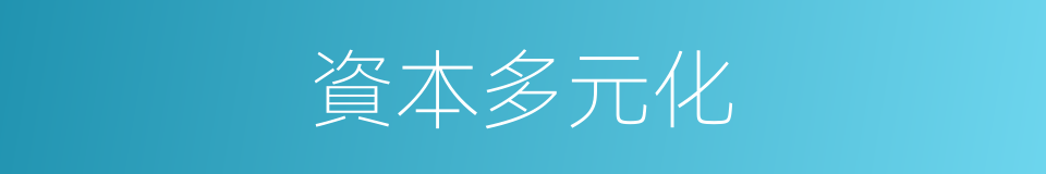 資本多元化的同義詞