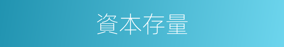 資本存量的同義詞