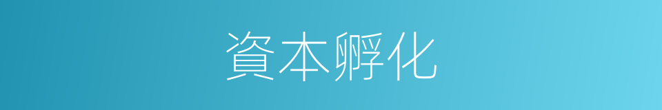 資本孵化的同義詞