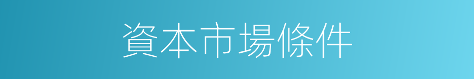 資本市場條件的同義詞