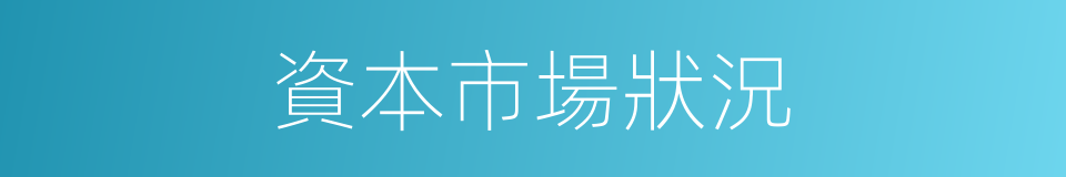 資本市場狀況的同義詞