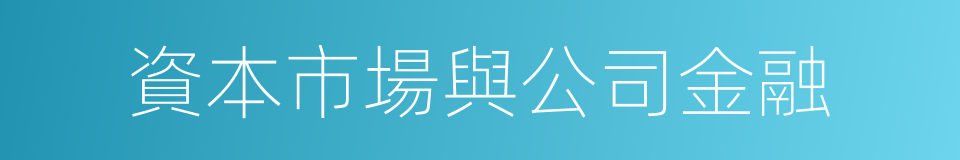 資本市場與公司金融的同義詞