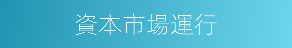 資本市場運行的同義詞