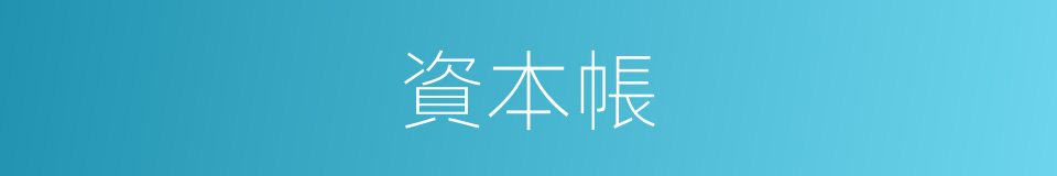 資本帳的同義詞