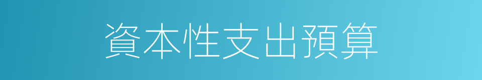 資本性支出預算的同義詞
