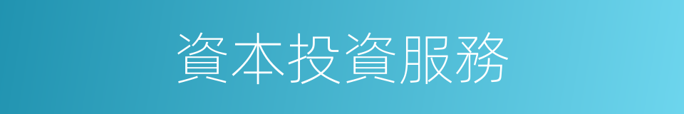 資本投資服務的同義詞