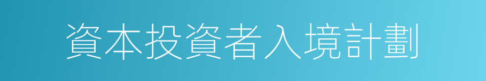 資本投資者入境計劃的同義詞