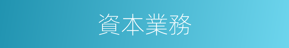 資本業務的同義詞