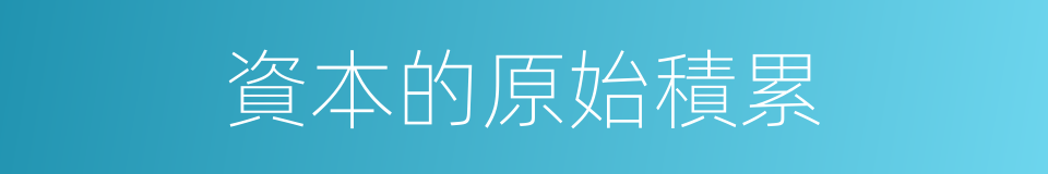 資本的原始積累的同義詞