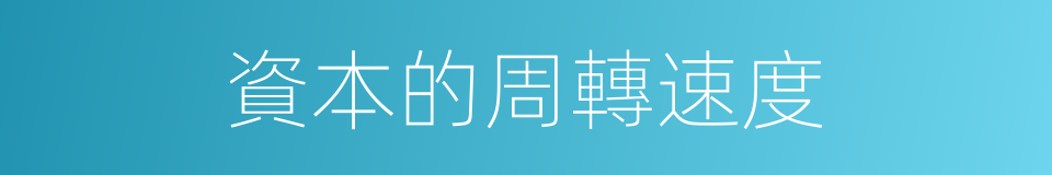 資本的周轉速度的同義詞