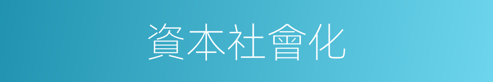 資本社會化的同義詞