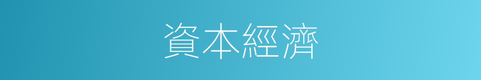 資本經濟的同義詞
