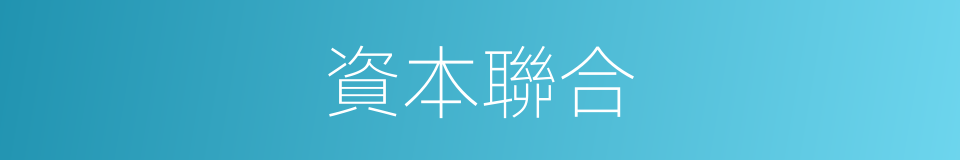 資本聯合的同義詞